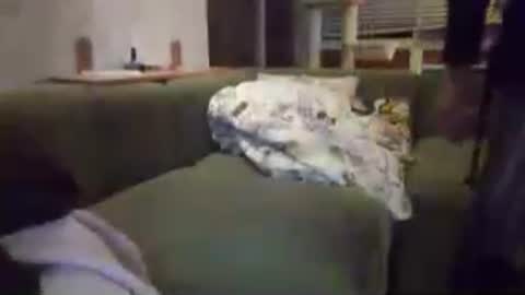 sammi_t online show from July 2026 05:16:01 PM
