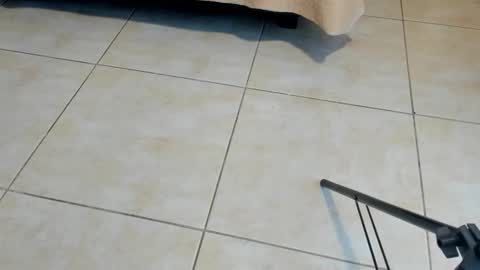 Snapshot of sammybrunette1 chatting on November 2025 12:29:02 PM Axel online show from November 2025 12:29:02 PM