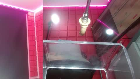 SAMMY online show from February 2026 10:33:02 AM