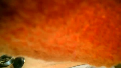 samueltal online show from October 2025 07:37:01 PM