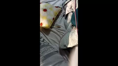 Snapshot of sanderray3 chatting on February 2026 08:09:01 AM ShynNkd online show from February 2026 08:09:01 AM