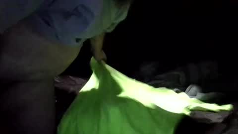 Snapshot of sandj133117 chatting on February 2025 02:07:01 AM sandj133117 online show from February 2025 02:07:01 AM