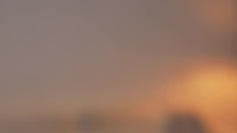       online show from March 2026 10:38:02 PM