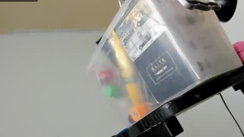 Sarah online show from February 2026 08:32:01 AM