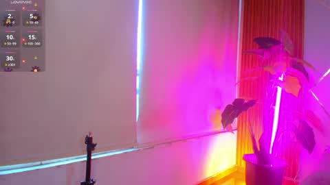 Snapshot of sasha_gracee_ chatting on April 2026 01:00:02 PM sasha_gracee_ online show from April 2026 01:00:02 PM