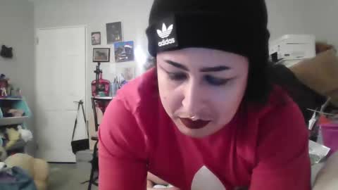 koolkat online show from January 2025 03:18:01 AM