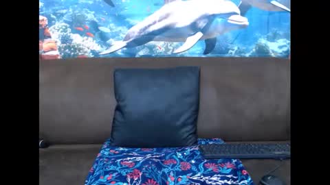 Snapshot of sasyylissaa chatting on March 2025 07:39:01 PM sasyylissaa online show from March 2025 07:39:01 PM