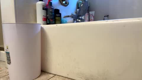 Snapshot of saucy_latino chatting on March 2026 11:40:01 PM ElVergone online show from March 2026 11:40:01 PM