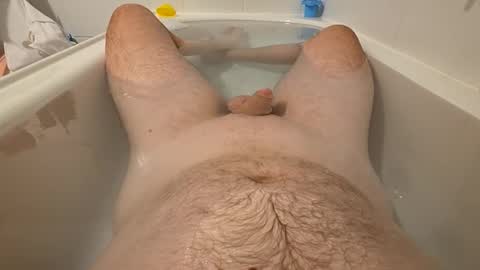 sc1981 online show from March 2026 10:31:02 AM