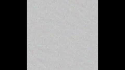 Venus online show from October 2025 04:07:01 PM