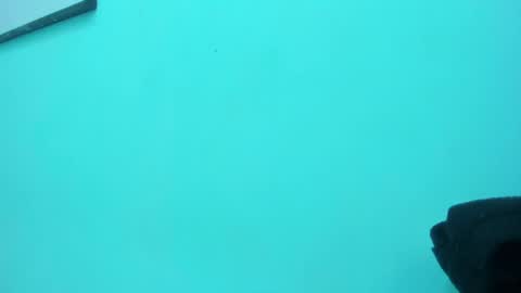 scarlett_fox20 online show from May 2026 01:30:01 PM
