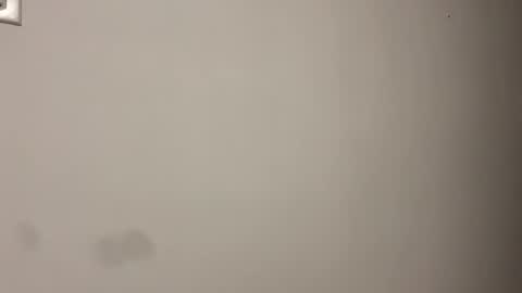 Scarlett online show from February 2026 03:40:01 AM