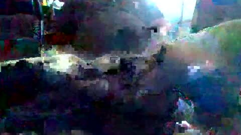 Snapshot of scottch38 chatting on September 2025 11:30:01 PM scottch38 online show from September 2025 11:30:01 PM