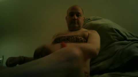 Snapshot of scottforfuhn chatting on February 2026 12:52:01 PM scottforfuhn online show from February 2026 12:52:01 PM