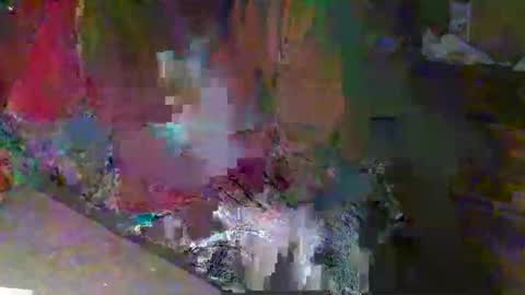 scotthard online show from November 2025 12:49:01 PM