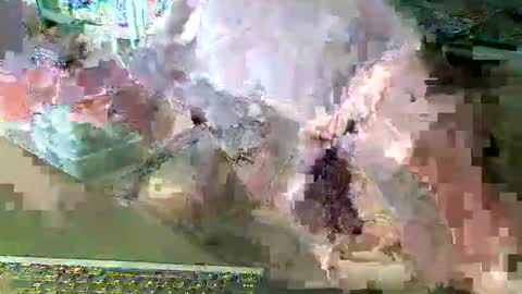 scotthard online show from March 2026 06:57:01 PM