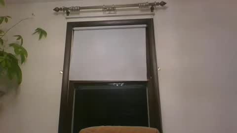 scottpbi52 online show from December 2024 07:31:01 AM