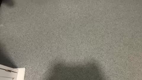 Snapshot of scottyc48 chatting on December 2025 11:05:01 AM scottyc48 online show from December 2025 11:05:01 AM