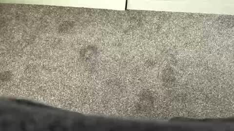 scottyc48 online show from March 2026 11:59:02 AM