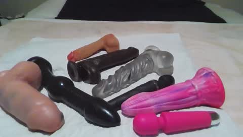 Snapshot of sdbeachfreaks chatting on November 2025 05:43:02 AM SDBeachfreaks online show from November 2025 05:43:02 AM