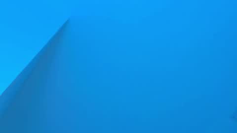 Snapshot of sebax_00 chatting on December 2025 03:45:02 AM Sebastian online show from December 2025 03:45:02 AM