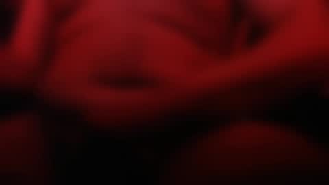 Apple online show from March 2025 02:50:01 AM