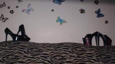 Emily online show from September 2025 08:01:02 PM