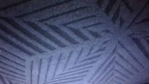 Sunny online show from March 2026 04:10:02 PM