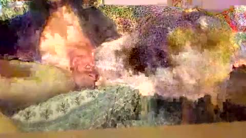 Snapshot of secretbigcock9988 chatting on November 2025 07:07:02 PM Dirty13 online show from November 2025 07:07:02 PM