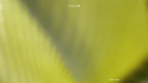 seduce_me_oldman online show from March 2026 03:16:02 PM