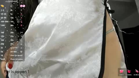 Snapshot of seeeyoumin chatting on October 2025 01:45:02 PM Akira Youri online show from October 2025 01:45:02 PM