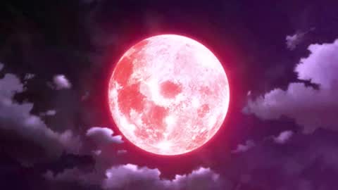 Selene G  online show from March 2026 02:17:02 AM