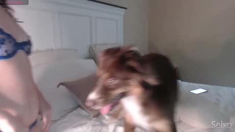 Snapshot of selxo chatting on September 2025 01:03:01 PM Sel online show from September 2025 01:03:01 PM