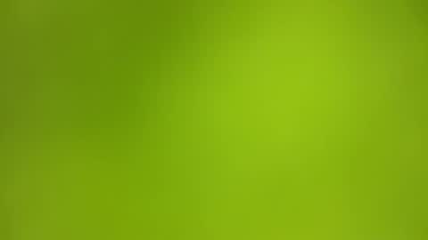 sens3439 online show from December 2025 08:08:02 AM