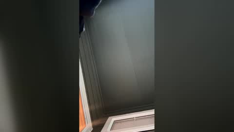 sensay mtz online show from March 2026 01:09:01 AM