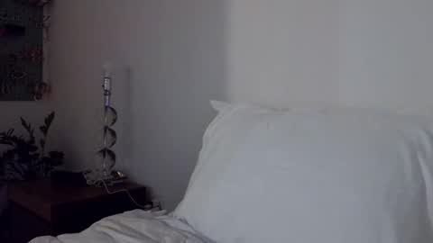 Cam online show from November 2025 01:08:02 AM