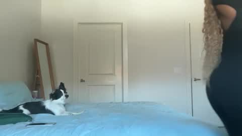 Serenity Bee   online show from November 2025 05:52:01 PM