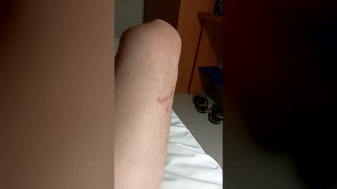 sergiorn online show from July 2026 04:59:01 AM
