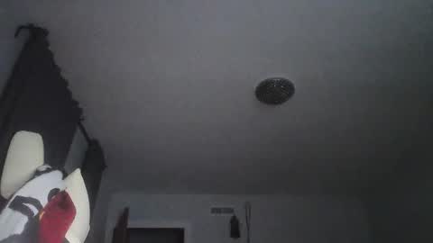 sexbrute online show from May 2026 01:03:02 AM