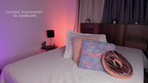 Snapshot of sexicanela99 chatting on December 2024 01:49:02 PM ... Camila ... online show from December 2024 01:49:02 PM