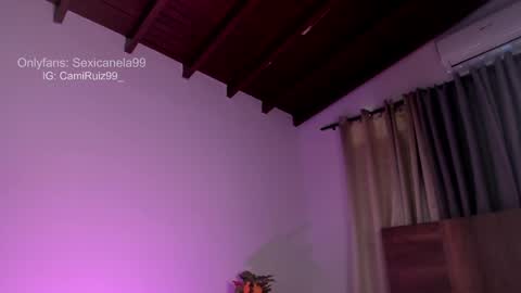 Snapshot of sexicanela99 chatting on January 2025 04:11:01 PM ... Camila ... online show from January 2025 04:11:01 PM