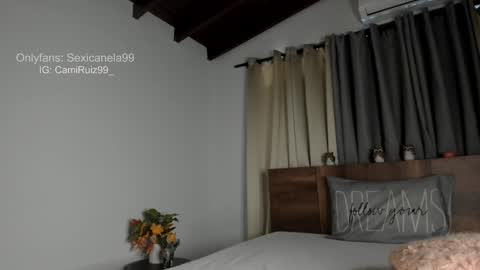 Snapshot of sexicanela99 chatting on January 2025 04:52:02 PM ... Camila ... online show from January 2025 04:52:02 PM