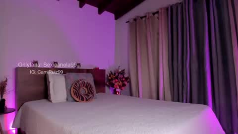 Snapshot of sexicanela99 chatting on February 2025 01:17:02 PM ... Camila ... online show from February 2025 01:17:02 PM