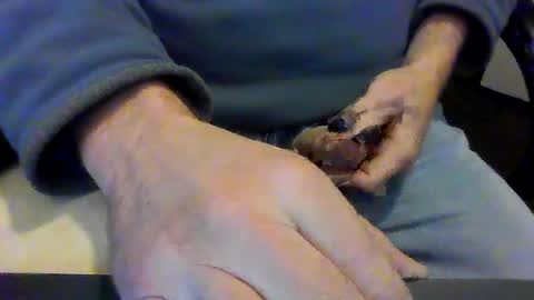 Snapshot of sexmonk1 chatting on December 2024 08:30:01 AM sexmonk1 online show from December 2024 08:30:01 AM