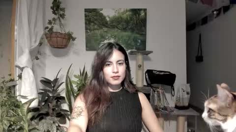         online show from February 2026 01:54:01 AM