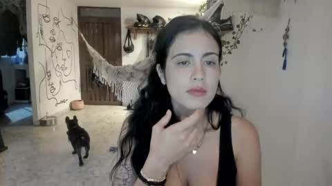         online show from May 2026 10:56:02 AM