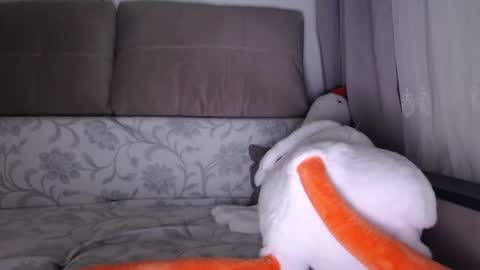 Snapshot of sexsy_bunny chatting on October 2025 05:13:01 AM See you on October going to miss you guys incredibly. Subscribe to my Onlyfans Channel to follow the news online show from October 2025 05:13:01 AM