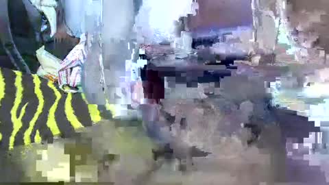 sexxytimmy2 online show from January 2025 08:07:02 PM
