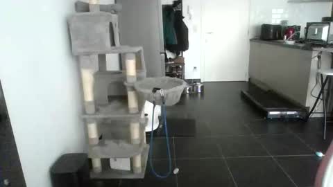 sexy53 online show from February 2026 10:45:02 AM