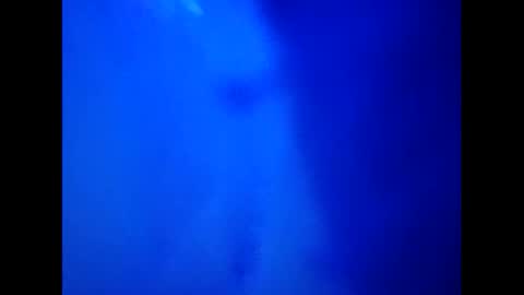 Camy Yamy online show from February 2025 03:32:01 AM